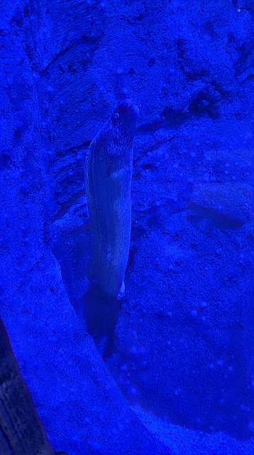 ../images/fotoalbum/lanzarote23/2023-09-18 11.32.01